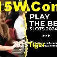 2025Tiger