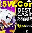 2025Tiger,2025 Tiger Bet